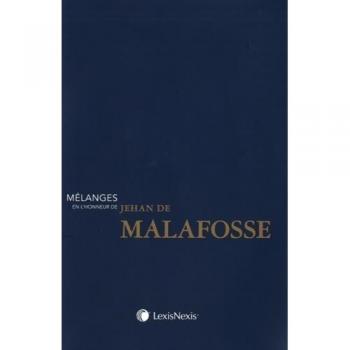 Mélanges en l honneur du professeur jehan de malafosse