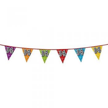 Guirlande festive holographique 14 ans 8m