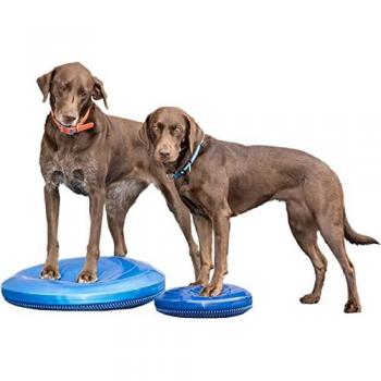 Disque d'équilibre FitPAWS pour animaux de compagnie 36 cm Bleu