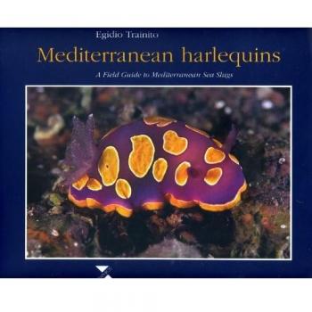 Mediterranean harlequins. A field guide to Mediterranean sea slugs