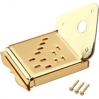 Cola de mandolina triangular con accesorios de guitarra dorados