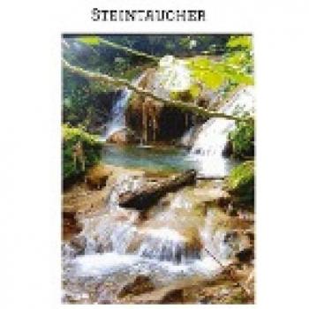 STEINTAUCHER  Liebesdurstige Beobachtungen eines in die Jahre gekommenen Mannes. Gerade so,als hätte da jemand noch einmal seine Träume an das Firmament gehangen.: Begegnung/Kollision/Impuls