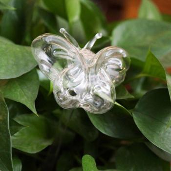 Indoor Plant Watering Globe