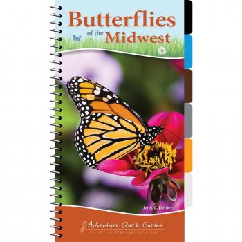 Butterflies of the Midwest
