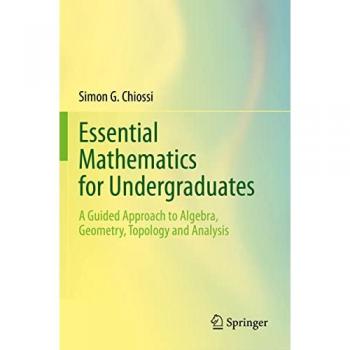 Simon G. Chiossi Essential Mathematics for Undergraduates