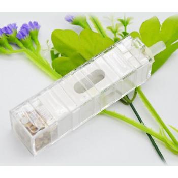 Villa pour insectes fourmis