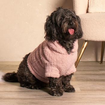 OHS Teddy Dog Hoodie, Blush