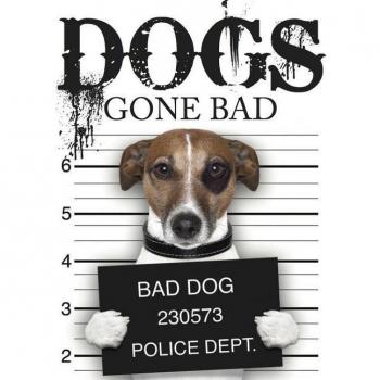Dogs Gone Bad Book