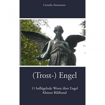 (Trost-) Engel