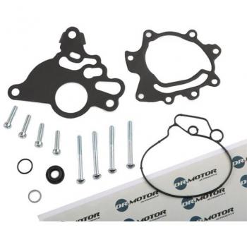 Kit réparation pompe tandem DR.MOTOR AUTOMOTIVE DRM0252
