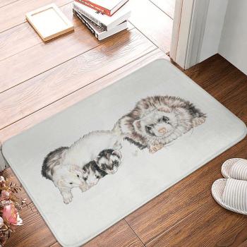 Ferret Clan 3D Washable House Entry Mat