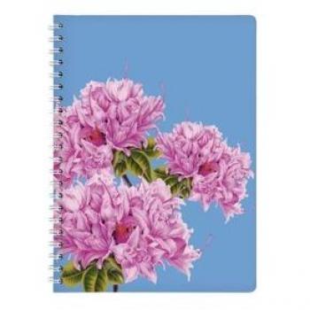 Ringbuch A4 Azalee