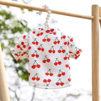 Chihuahua & French Bulldog Hooded Dog Shirt from Cherry Cat