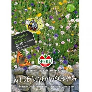 Saatgut für bunte Wildblumenwiese und Kräuter