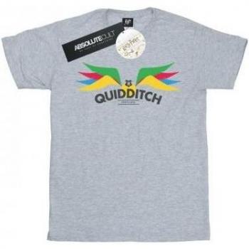 Camiseta blanca Harry Potter con alas de Snitch para niña