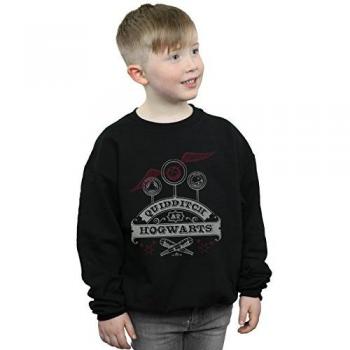 Harry Potter Jungenpullover „Quidditch Fan“