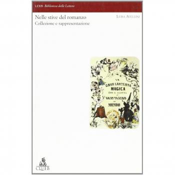 Nelle stive del romanzo. Collezione e rappresentazione