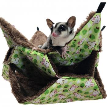 Ferret and Small Animal Hammock