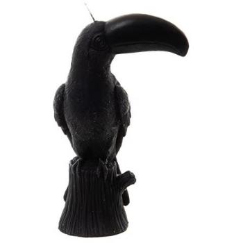 Bougie toucan élégante
