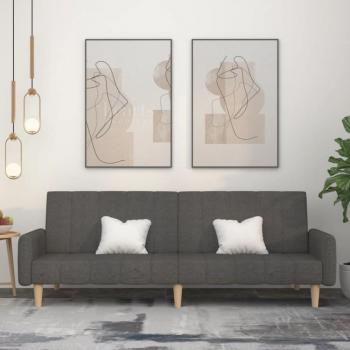 Schlafmöbel 2-Sitzer Sofabett – Elegant Dunkelgrau, Stoff