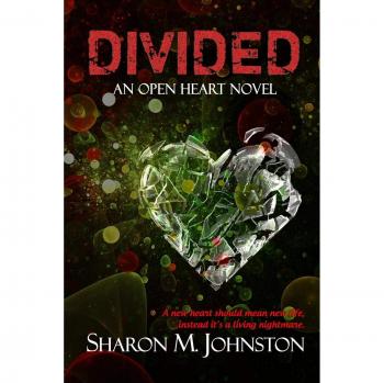 Divided (Open Heart, Band 1)