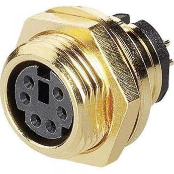 Enchufe DIN 4‑polo BKL – montaje vertical compacto