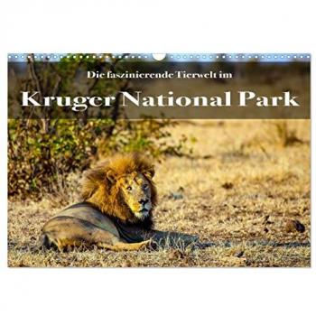Faszinierende Tierwelt des Kruger National Parks (Wandkalender 2025 DIN A3 quer) CALVENDO Monatskalender