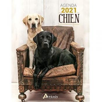 Agenda Chien