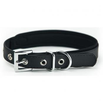 Nobby Kit Collare e Guinzaglio per Cani