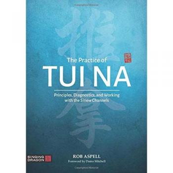 The Practice of Tui Na: Principles, Diagnostics and Working with the Sinew Channels