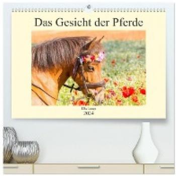 Premium Pferde-Wandkalender 2024 DIN A2 quer