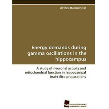 Energy demands during gamma oscillations in the hippocampus: A study of neuronal activity and mitochondrial function in hippocampal brain slice preparations