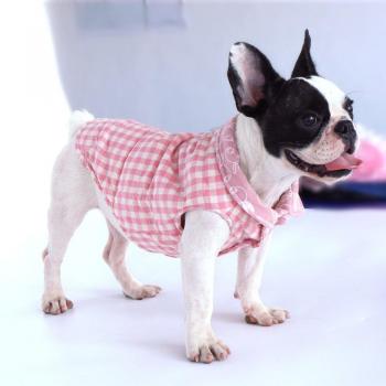 Costume pour petits chiens