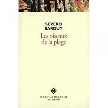 Les oiseaux de la plage
