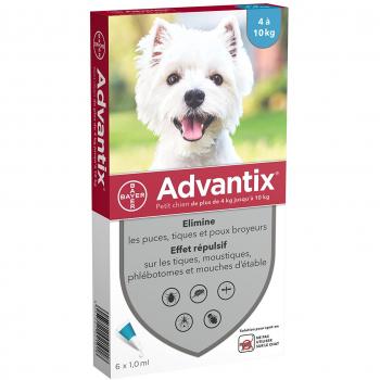 ADVANTIX 6 pipetas antiparasitarias