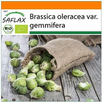 SAC VERTICAL BIO – Chou de Bruxelles 30 G
