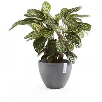 ECOPOTS Pflanzgefäß ANTWERP Grau, BxTxH: 40x40x30 cm