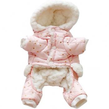 Chihuahua Winterkleding