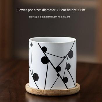 Taza de Plantas Decorativa Office