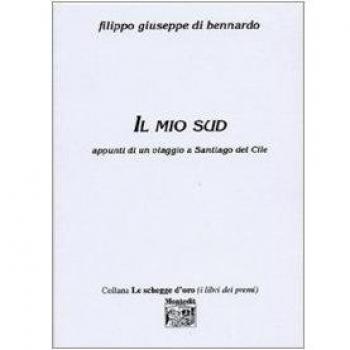 Il mio sud. Appunti di un viaggio a Santiago del Cile