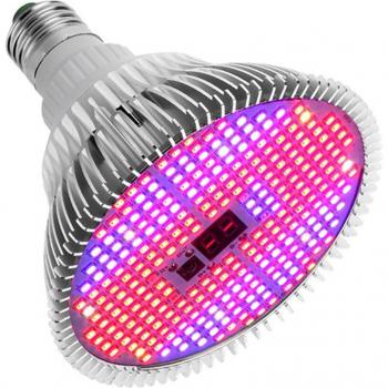 Sucrillo 100W