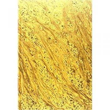 Derecho civil español, común y foral. Tomo VI. Volumen 1