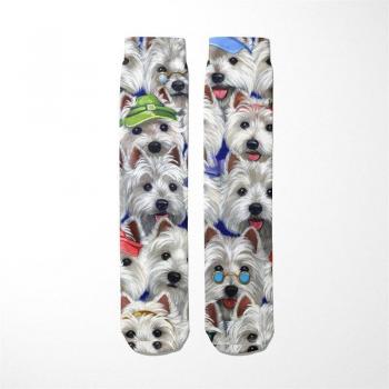 Coton Peigné Fun Socks