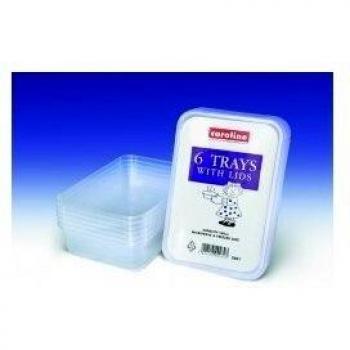 Caroline 6x500ml Plastic Food Storage Containers with Lids