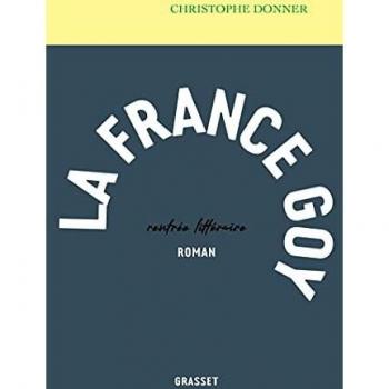 La France Goy: Roman von Christophe Donner