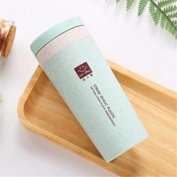 300ml Outdoor Water Bottle