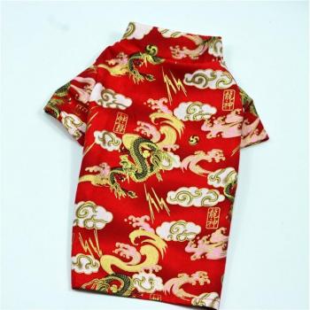 Ropa de Fiesta para Cachorros Poodle