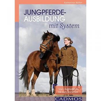 Jungpferdeausbildung mit System