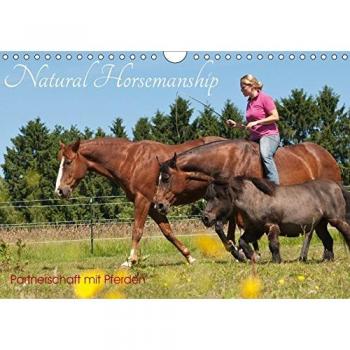 Natural Horsemanship