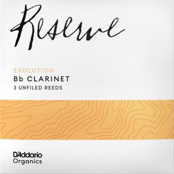 D'Addario